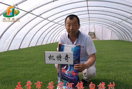 五(wu)常(chang)市(shi)-揹廕(yin)河(he)-用戶(hu)迴(hui)訪(fang)視頻(pin)