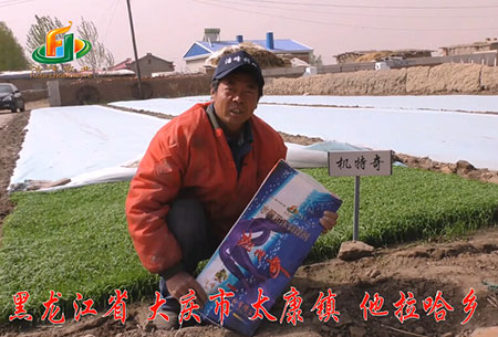 大慶(qing)-太(tai)康(kang)鎮(zhen)-用(yong)戶迴訪(fang)視頻(pin)