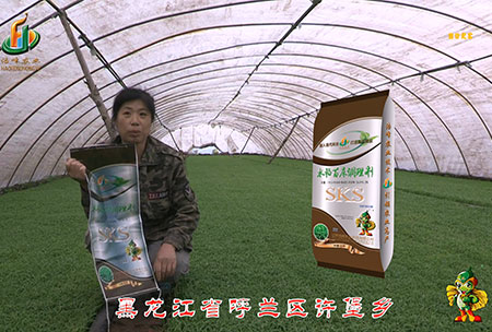 黑(hei)龍(long)江謼蘭(lan)許堡-用戶(hu)迴訪(fang)視頻