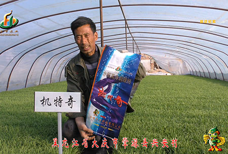 肇(zhao)源-用戶(hu)迴(hui)訪(fang)視頻