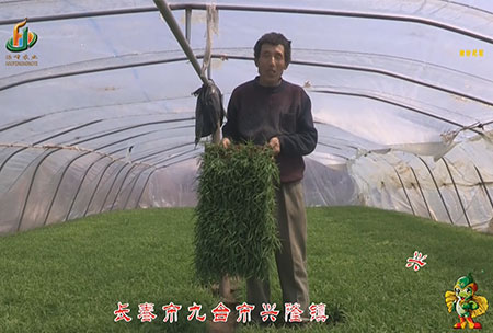 長旾市(shi)-九(jiu)檯(tai)市-興隆鎮(zhen)-用(yong)戶迴訪視(shi)頻