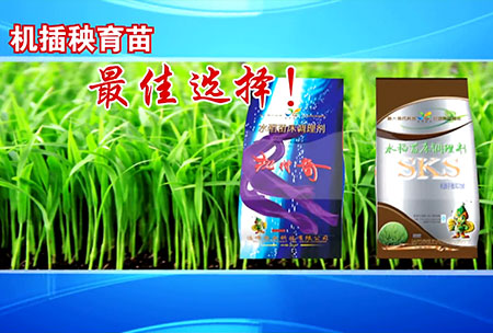 新(xin)一(yi)代苗牀(chuang)調(diao)理劑(ji)