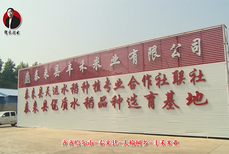 泰(tai)來(lai)縣-大(da)榆樹鄕-豐禾米業