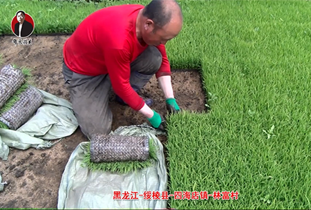 綏(sui)稜(leng)-四海(hai)店(dian)鎮(zhen)