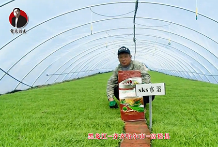 齊(qi)齊(qi)哈(ha)爾(er)市-富(fu)裕縣