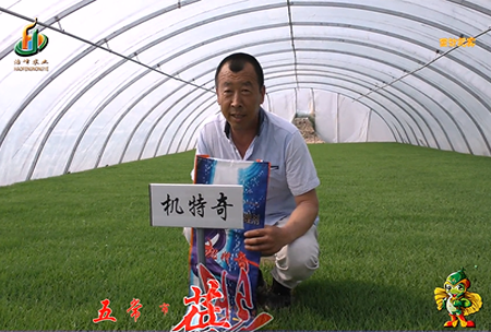 五常(chang)市(shi) 蓓廕河(he)1
