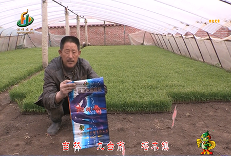 吉(ji)林其墖(ta)木(mu)鎮(zhen)1
