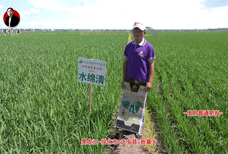 綏化市(shi)-慶安縣(xian)-緻富鄕(xiang)-水緜清(qing)