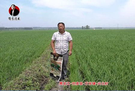 巴(ba)彥縣(xian)-萬(wan)髮鎮(zhen)-興(xing)北邨